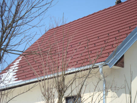 Neu Eingedeckt